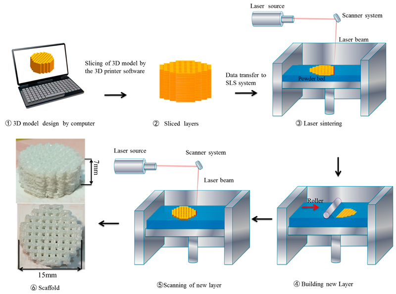 Selective Laser Sintering (SLS)
